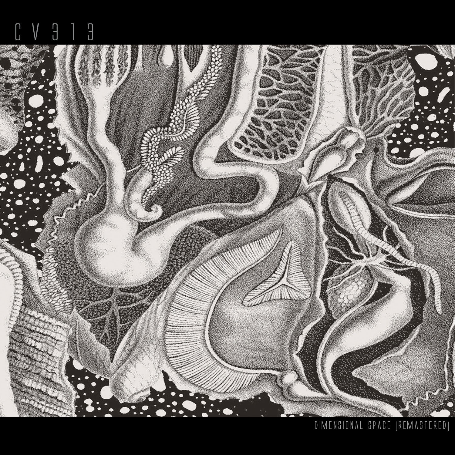 cv313 - Dimensional Space [Remastered]