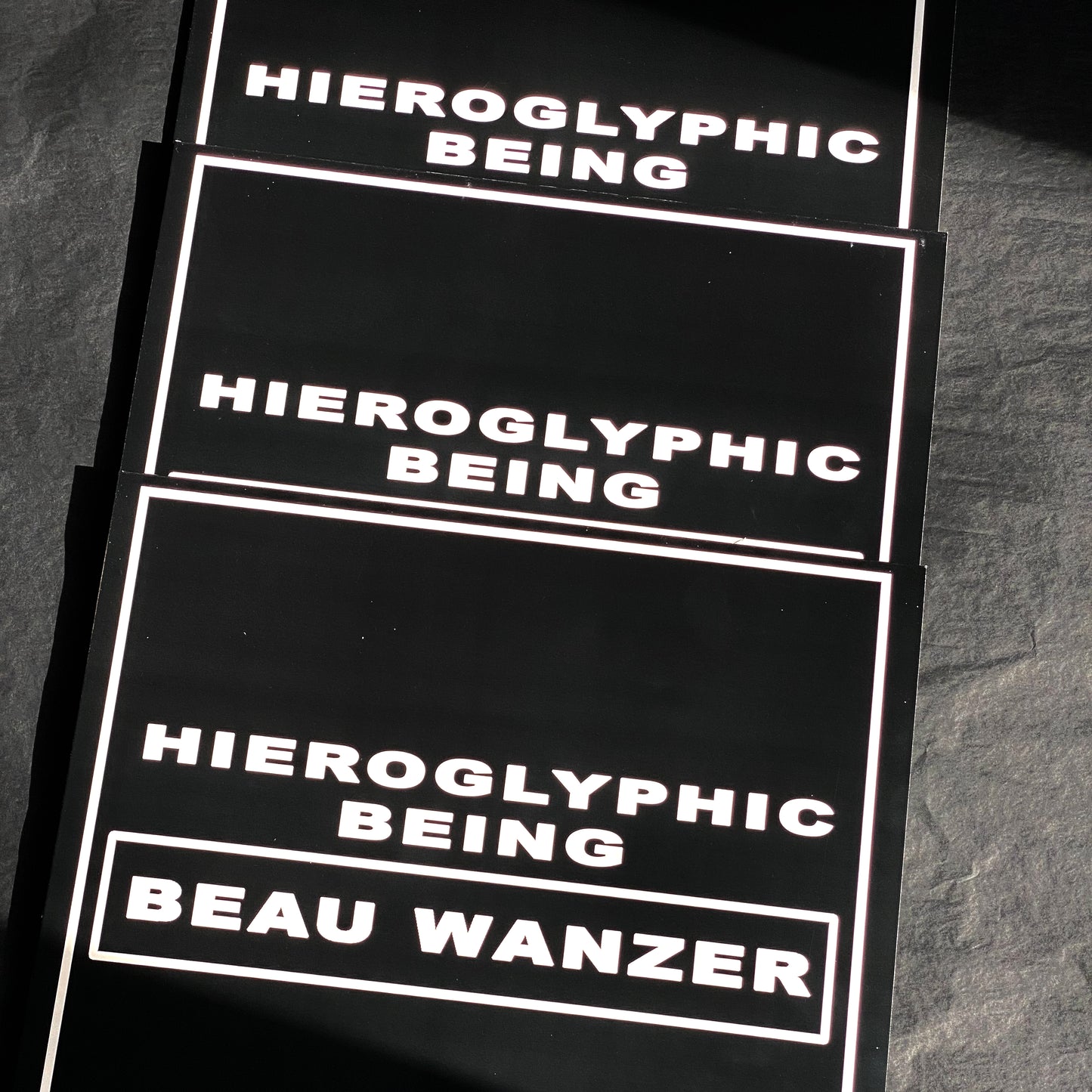 Beau Wanzer & Hieroglyphic Being - 4 Dysfunctional Psychotic Release & Sonic Reprogramming Purposes Only