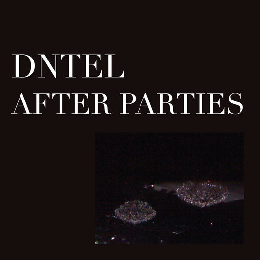 Dntel ‎– After Parties II